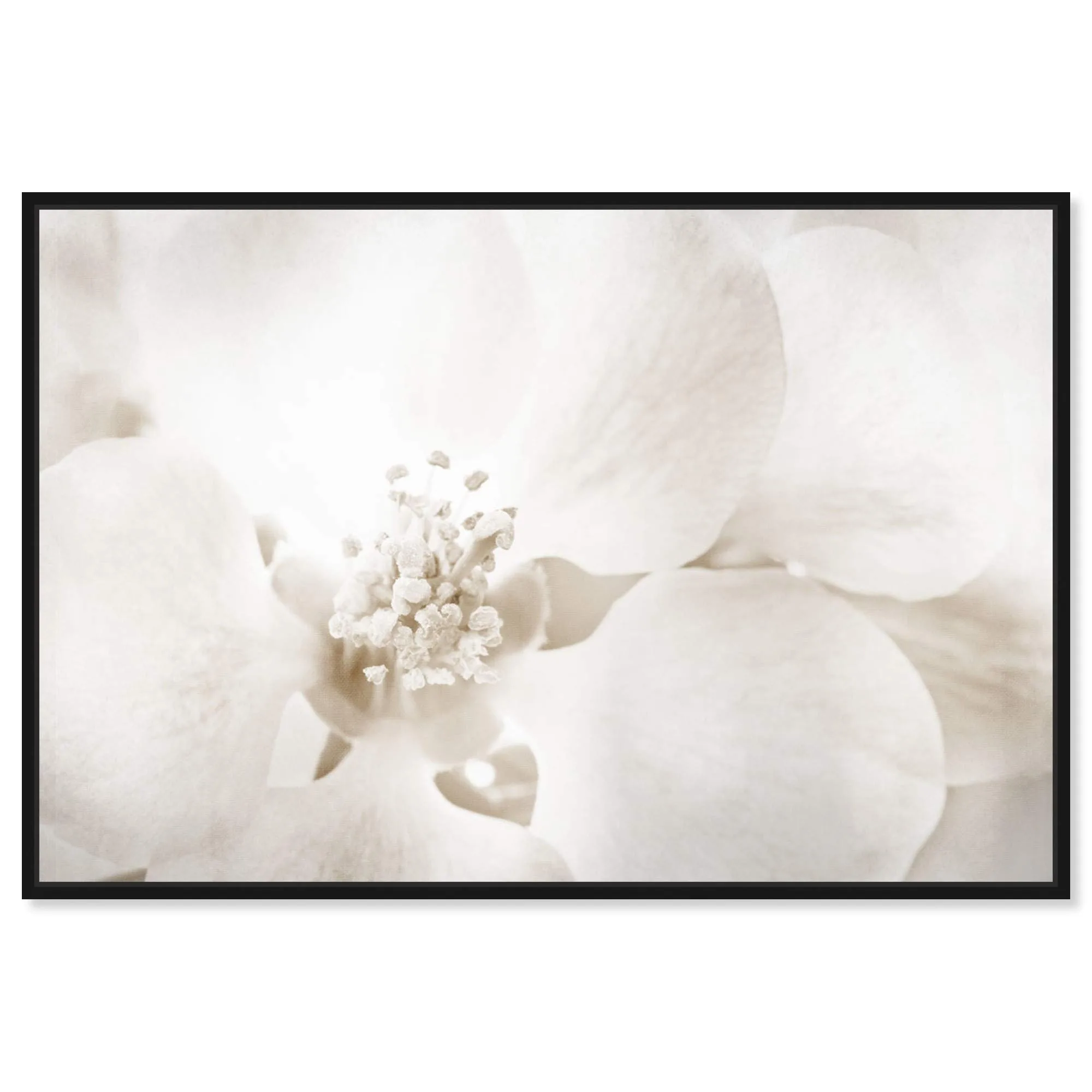Oliver Gal Floral Happiness Framed Canvas Wall Art image 3
